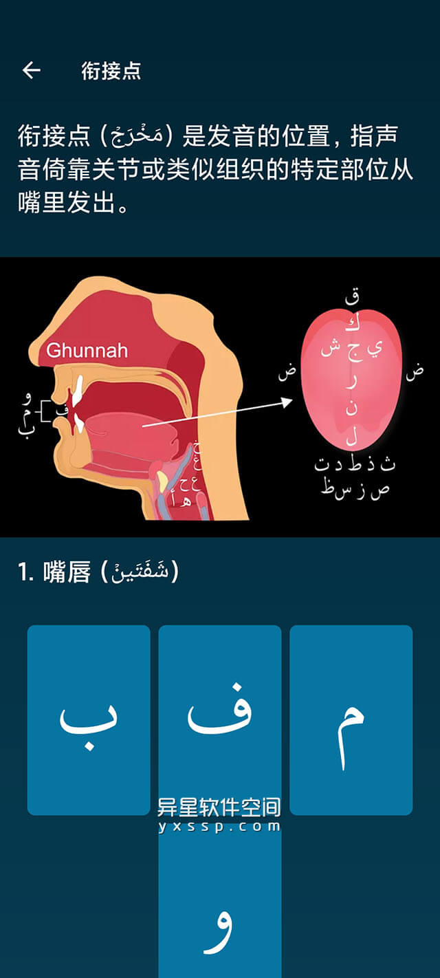 Learn Quran Tajwid v8.5.1 for Android 解锁高级版 —— 让您可以和著名古兰经老师学习阅读古兰经-阅读, 语音, 练习, 学习古兰经, 学习, 字母, 古兰经, Learn Quran Tajwid
